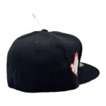 NY fire12